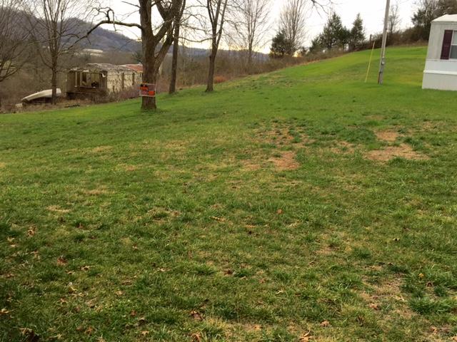 1357 Murphy Mill Road Tazewell, TN 37879 - Photo 13 of 13 HUGE YARD