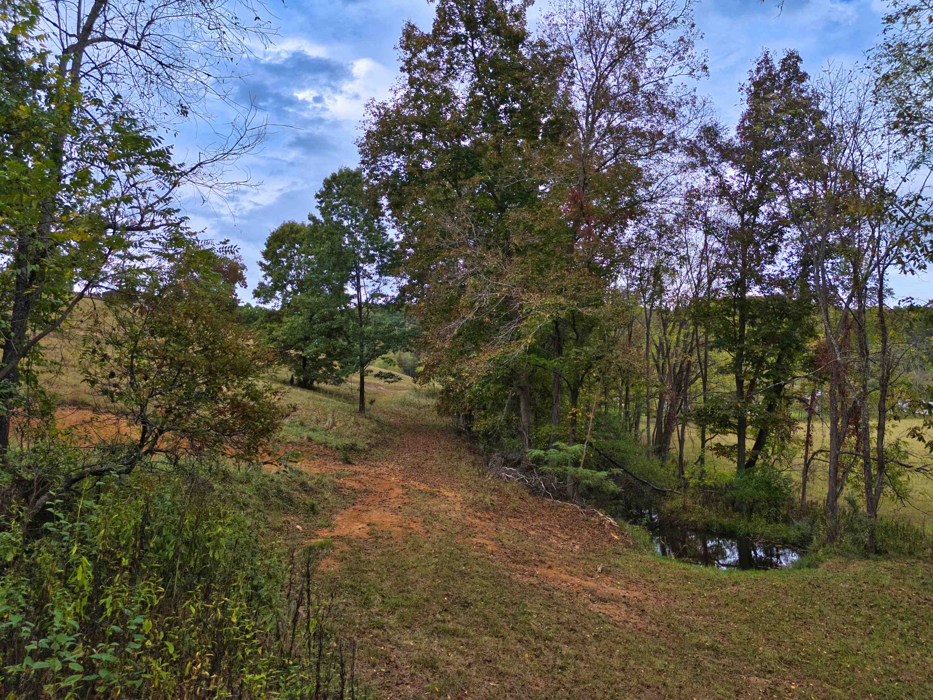 3565-3563 Big Branch Road Riner, VA 24149 - Photo 54 of 59 Gallery Image 54
