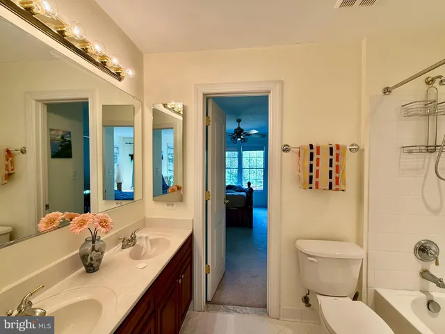 a view of a field of grass and trees