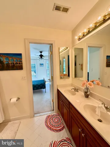 a view of a park with large trees