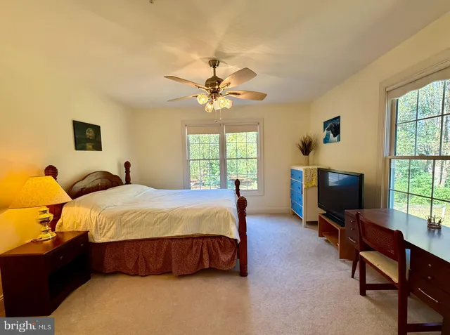 a view of a golf course with a tree