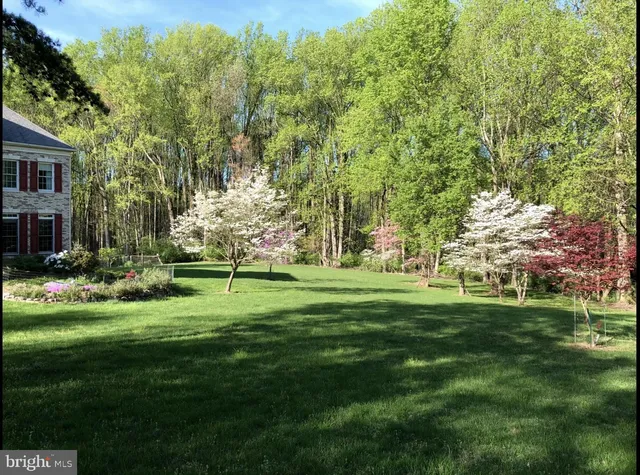 a view of a yard with plants