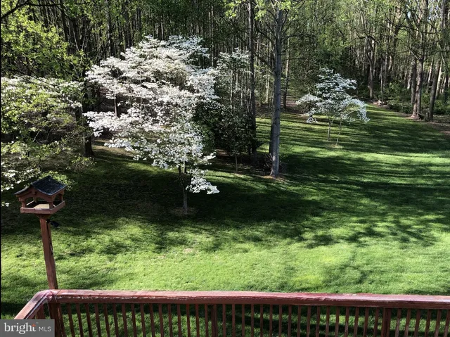 a view of yard with large trees