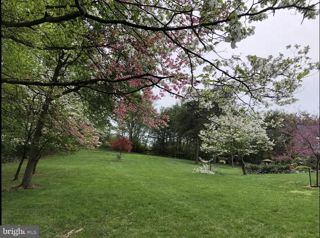 a view of outdoor space and yard