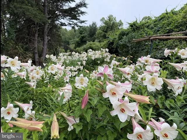 a view of a park with swings and a bench