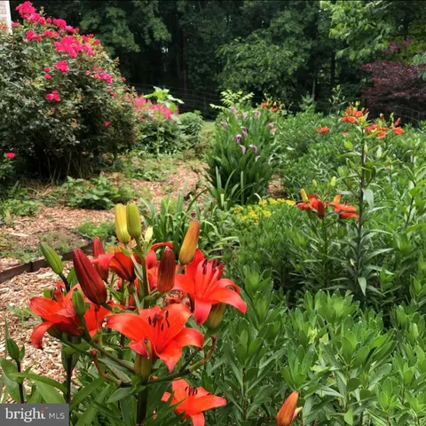 a view of a street with a houses