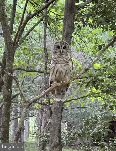 $6,250 | 12413 Pueblo Road, Gaithersburg, MD 20878