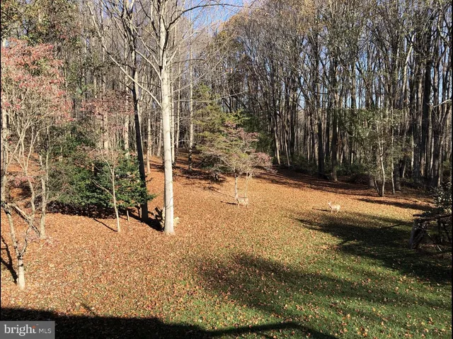 $6,250 | 12413 Pueblo Road, Gaithersburg, MD 20878