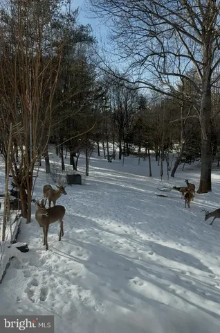 $6,250 | 12413 Pueblo Road, Gaithersburg, MD 20878