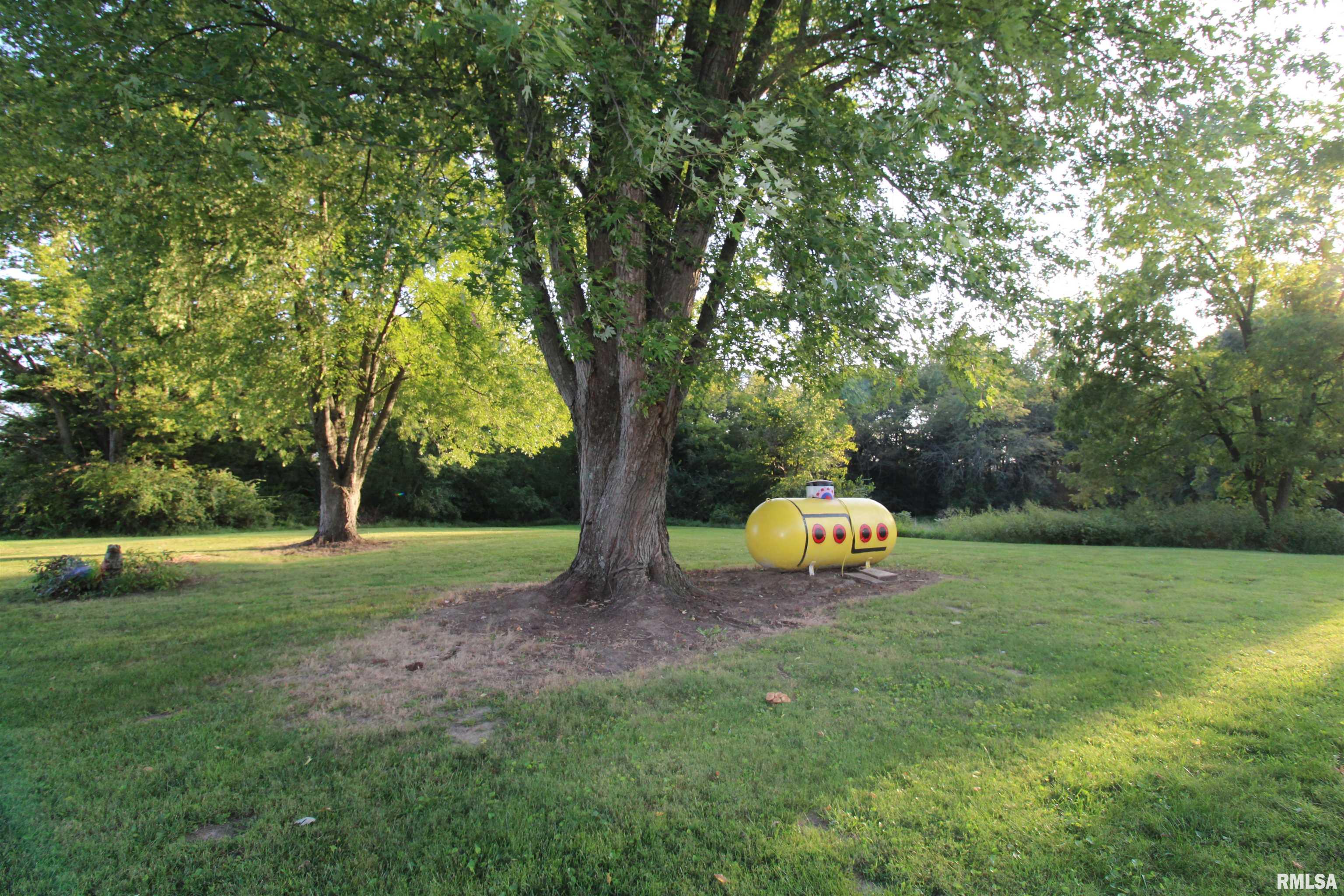 6201 Landmark Road Iuka, IL 62849 - Photo 8 of 47