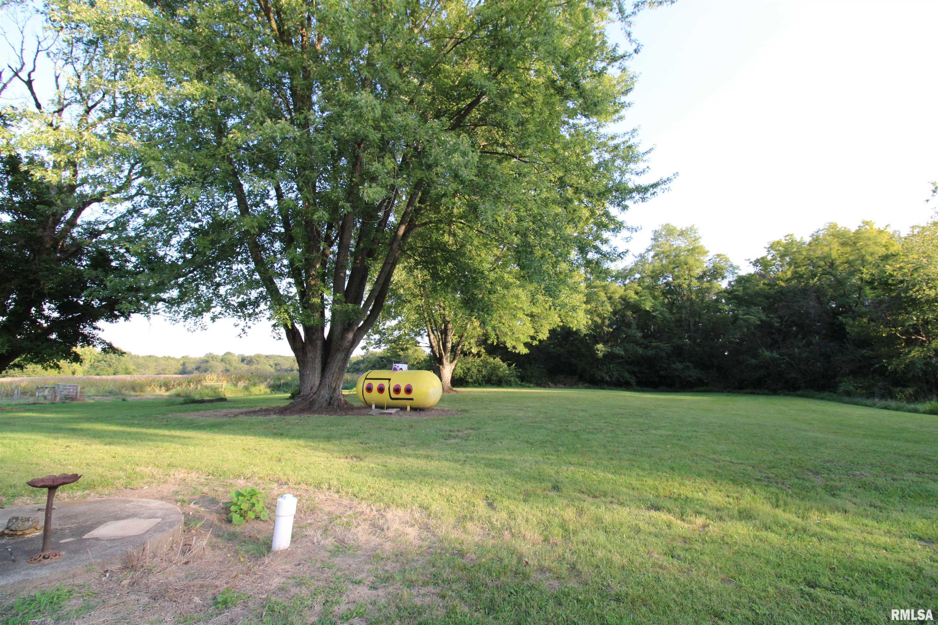 6201 Landmark Road Iuka, IL 62849 - Photo 9 of 47