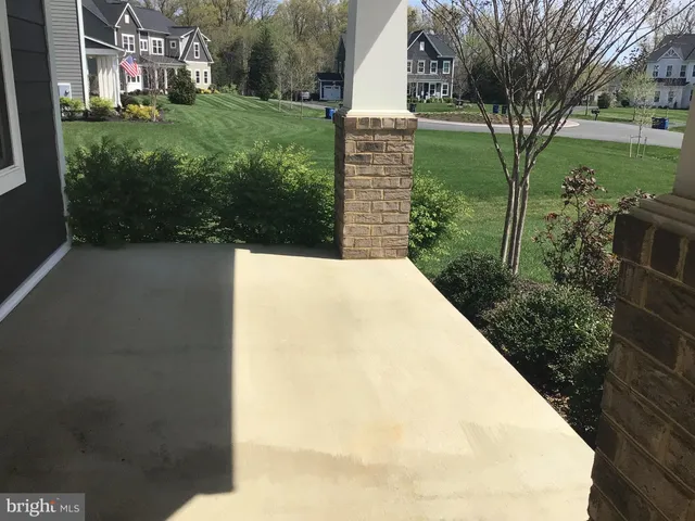 a view of a backyard with large trees