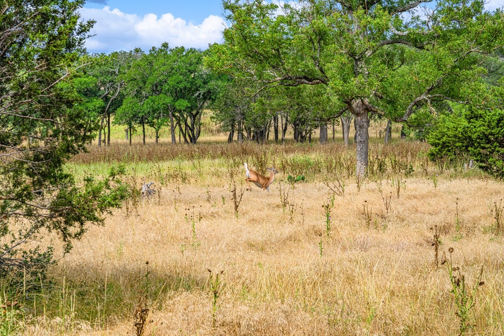 430 Cool Creek Rd Center Point Kerrville, TX 78028 - Photo 13 of 17 a view of lake view