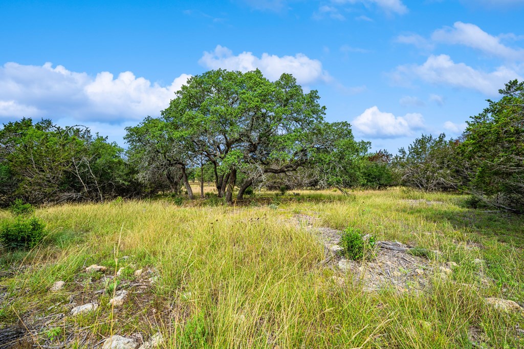 430 Cool Creek Rd Center Point Kerrville, TX 78028 - Photo 14 of 17 a view of yard with swimming pool and green space