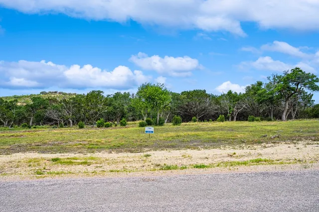 a view of a big yard with a large trees