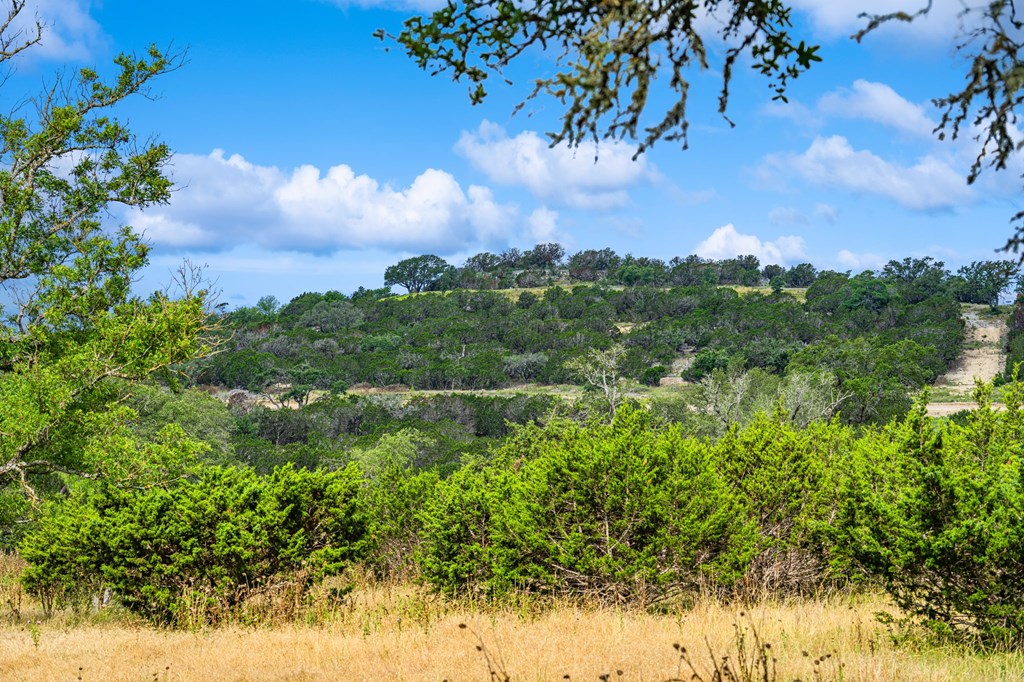 430 Cool Creek Rd Center Point Kerrville, TX 78028 - Photo 4 of 17 a view of a yard