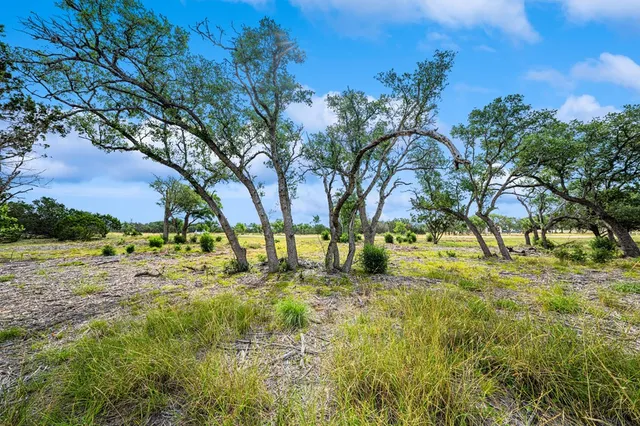 a view of yard with green space
