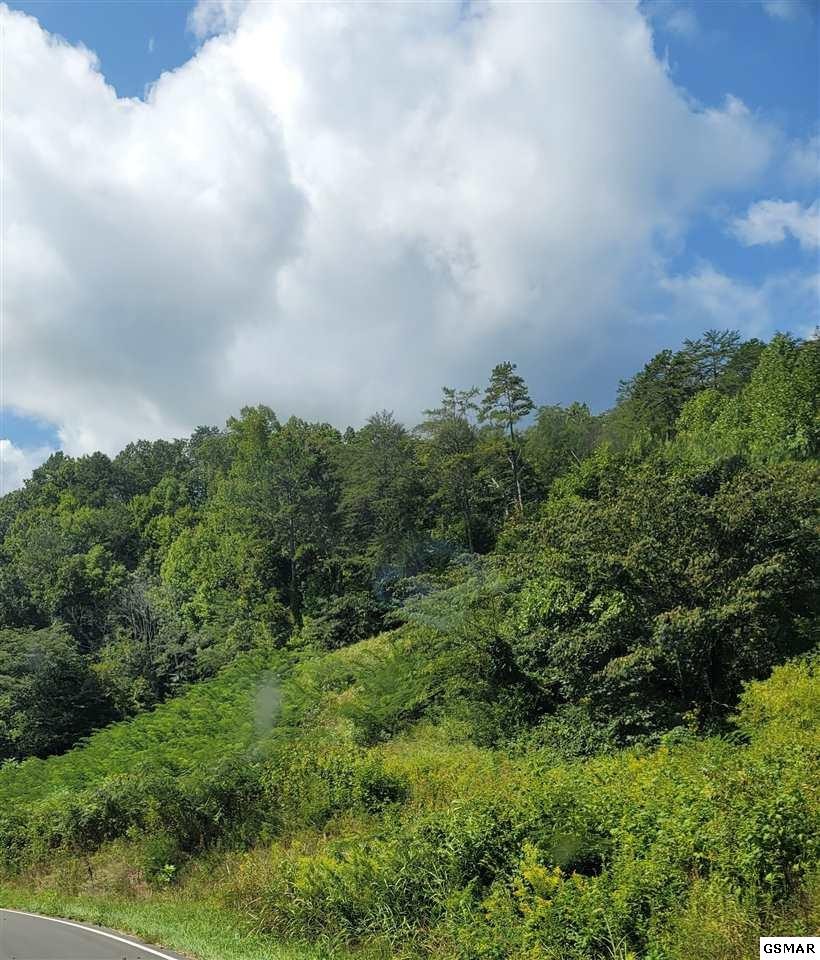 265 Timber Ridge Road Del Rio, TN 37727 - Photo 1 of 5