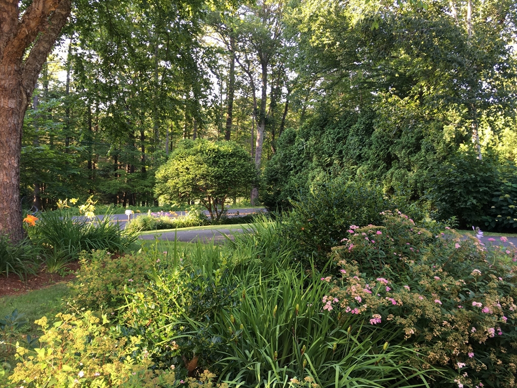 91 Montague Road Westhampton, MA 01027 - Photo 41 of 41 a view of a yard with a tree