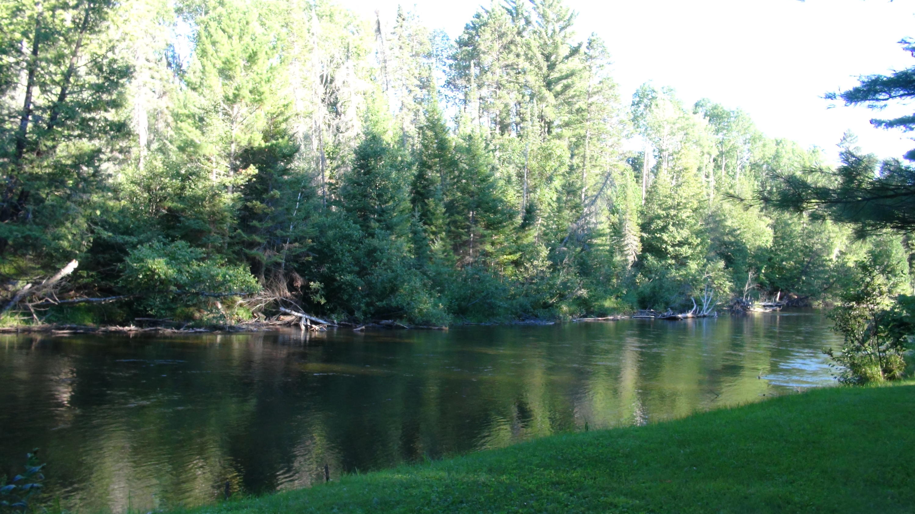 65 Flashlight Bend Road Grayling, MI 49738 - Photo 2 of 79 Gallery Image 2