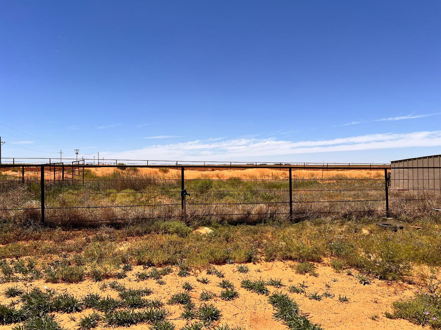3598 Nightingale Road Ropesville, TX 79358 - Photo 7 of 22 a view of yard