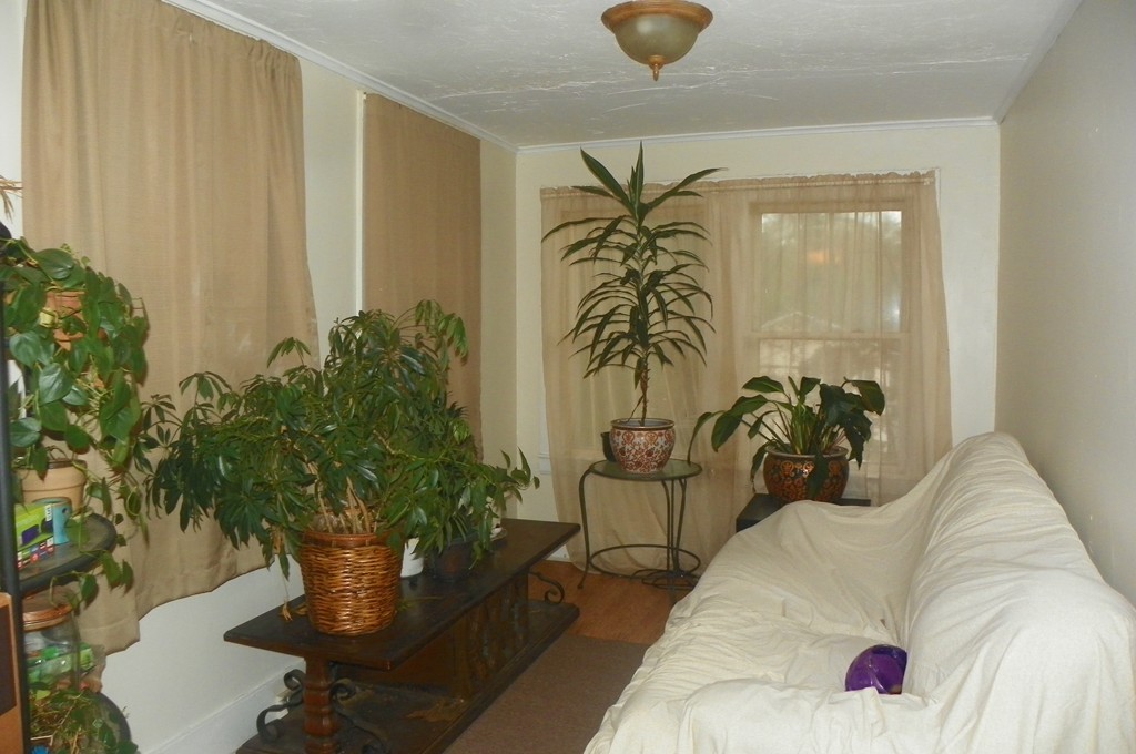 12 Spring Road Lynn, MA 01902 - Photo 20 of 28 Gallery Image 20