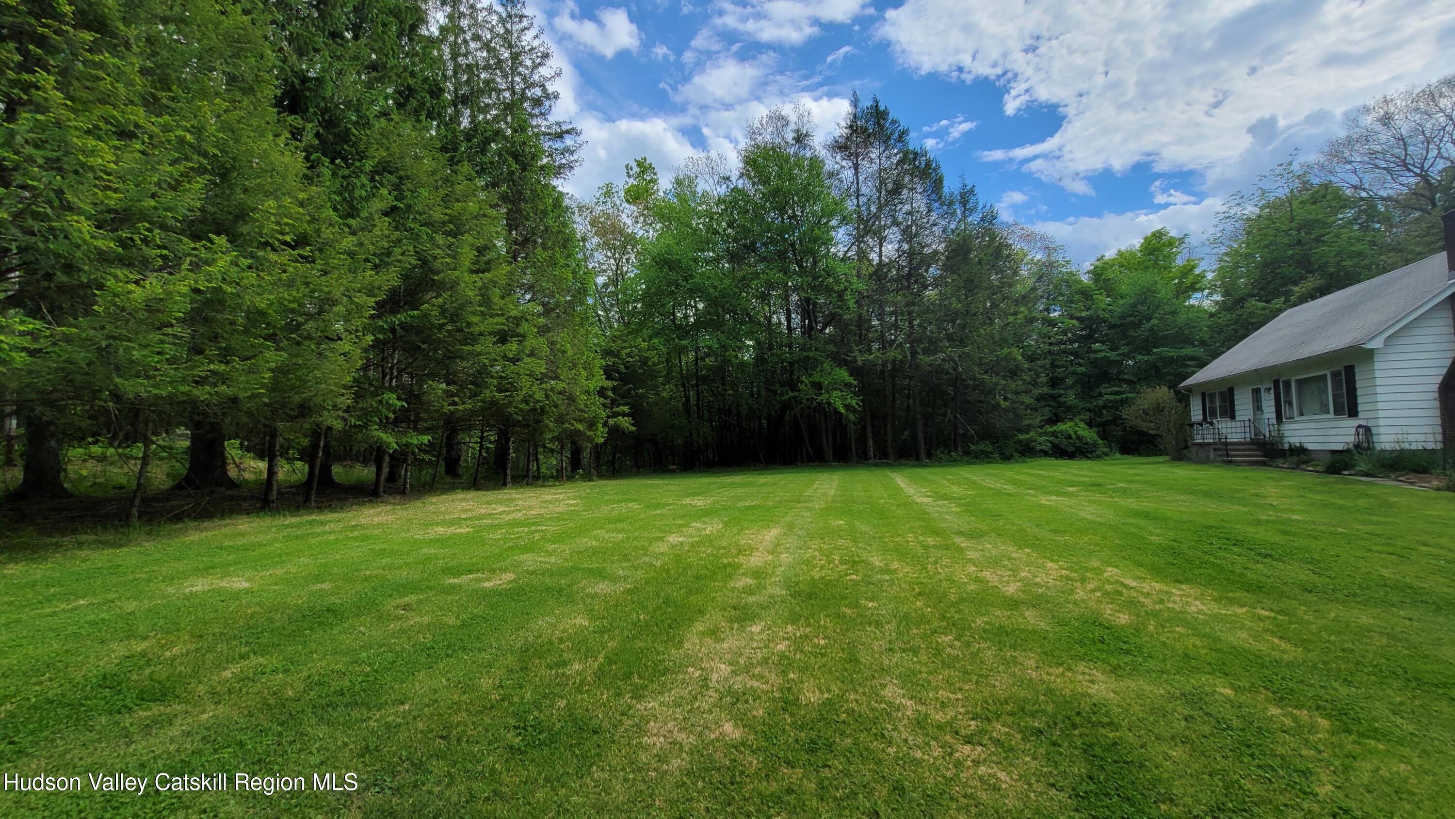 97 Ruby Road Kingston, NY 12401 - Photo 10 of 25 a backyard of a house with lots of green space