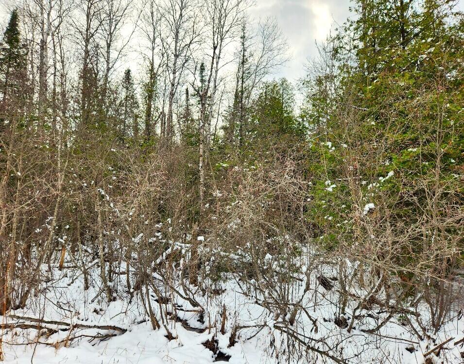 Nhn East Hubert Road Spruce, MI 48762 - Photo 3 of 5 Gallery Image 3