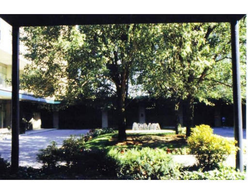 77 Pond Avenue, Unit 507 Brookline, MA 02445 - Photo 2 of 12 a view of a yard with a tree