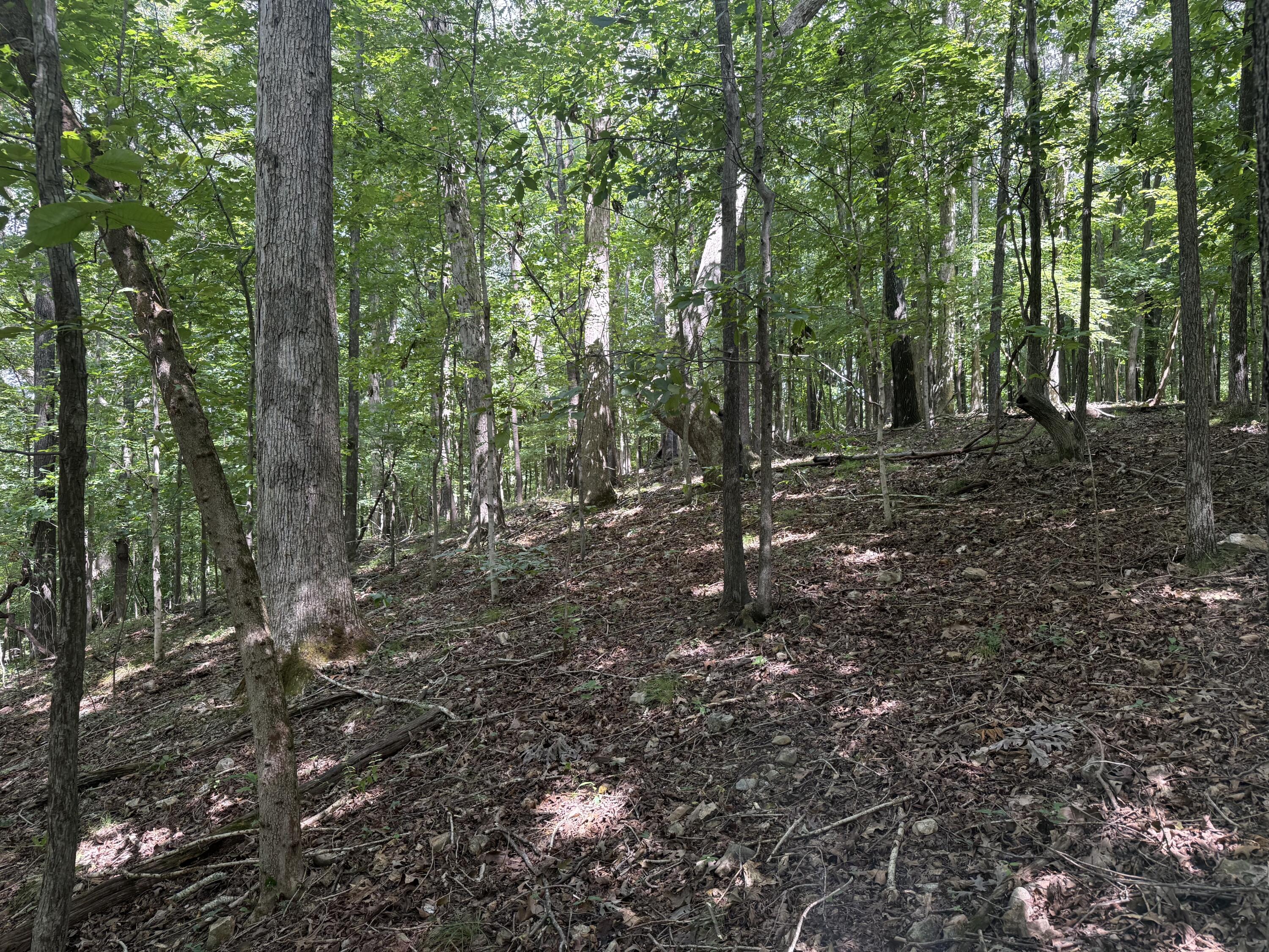 0 Perry Springs Road Eddyville, KY 42038 - Photo 2 of 41 4