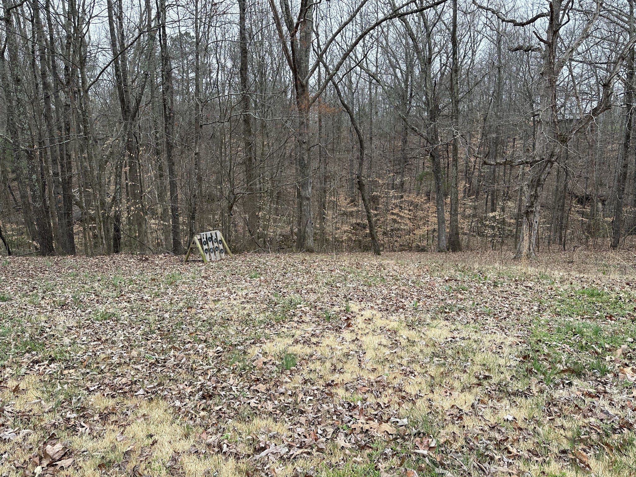 2280 Van Dyke Road Paris, TN 38242 - Photo 12 of 18 Gallery Image 12