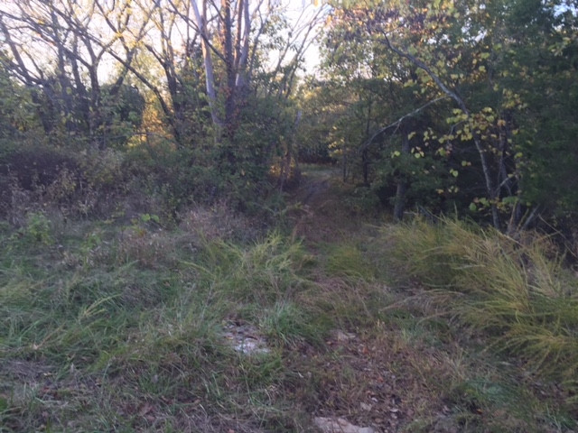 2475 Claxon Ridge Road Owenton, KY 40359 - Photo 20 of 40 Gallery Image 20