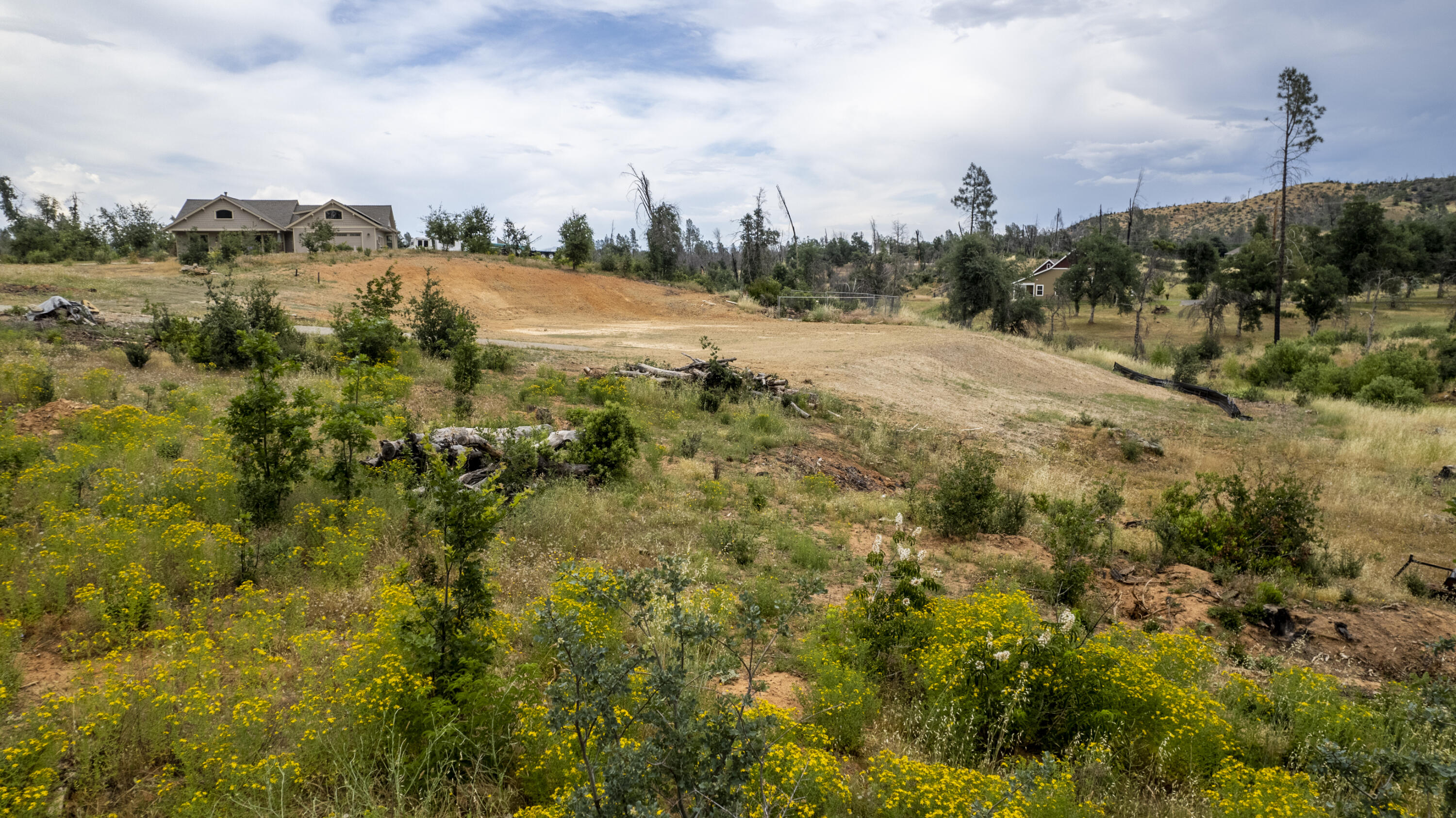 9941 Tilton Mine Road Redding, CA 96001 - Photo 9 of 11 DJI_0683-HDR