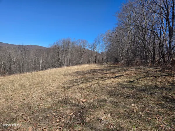 $165,000 | 17052 Highway 22, Berlin, NY 12138