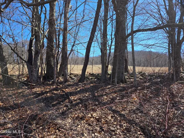 $165,000 | 17052 Highway 22, Berlin, NY 12138