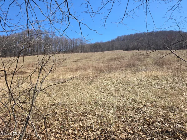 $165,000 | 17052 Highway 22, Berlin, NY 12138