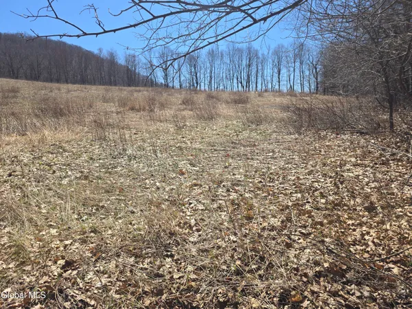 $165,000 | 17052 Highway 22, Berlin, NY 12138