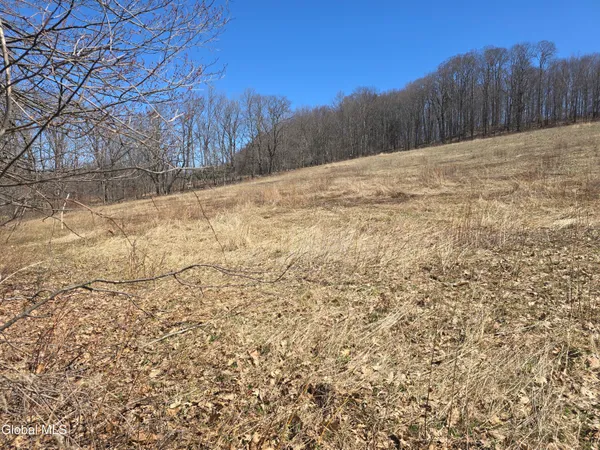 $165,000 | 17052 Highway 22, Berlin, NY 12138