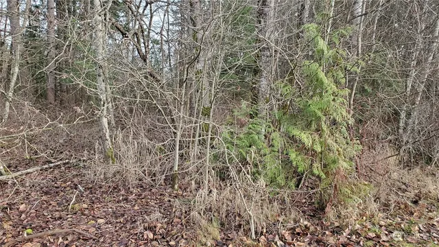 $249,000 | 4492 Sweet Road, Blaine, WA 98230