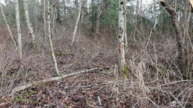 $249,000 | 4492 Sweet Road, Blaine, WA 98230