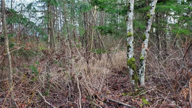 $249,000 | 4492 Sweet Road, Blaine, WA 98230