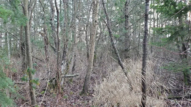 $249,000 | 4492 Sweet Road, Blaine, WA 98230