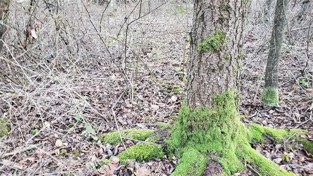 $249,000 | 4492 Sweet Road, Blaine, WA 98230