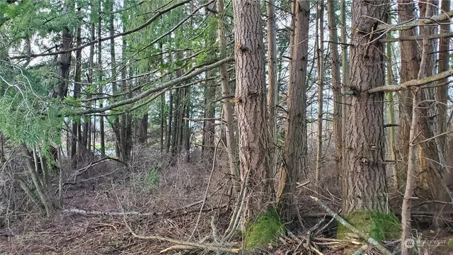 $249,000 | 4492 Sweet Road, Blaine, WA 98230