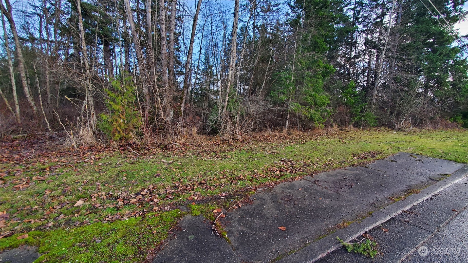 4492 Sweet Road Blaine, WA 98230 - Photo 23 of 23