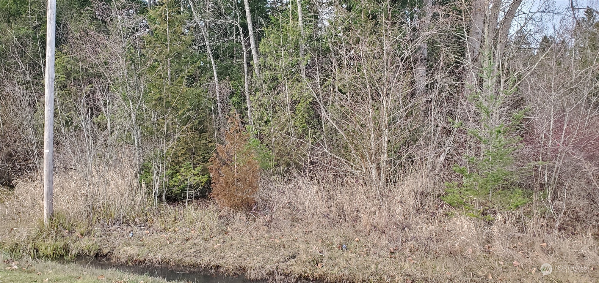 4492 Sweet Road Blaine, WA 98230 - Photo 3 of 23