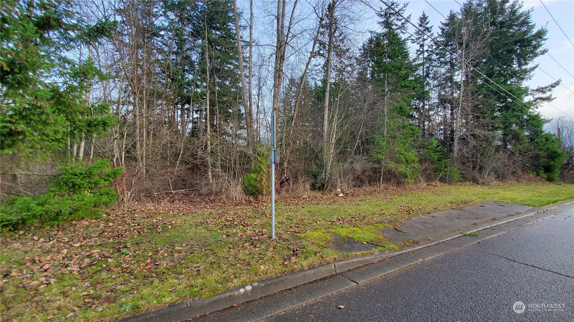 4492 Sweet Road Blaine, WA 98230 - Photo 10 of 23