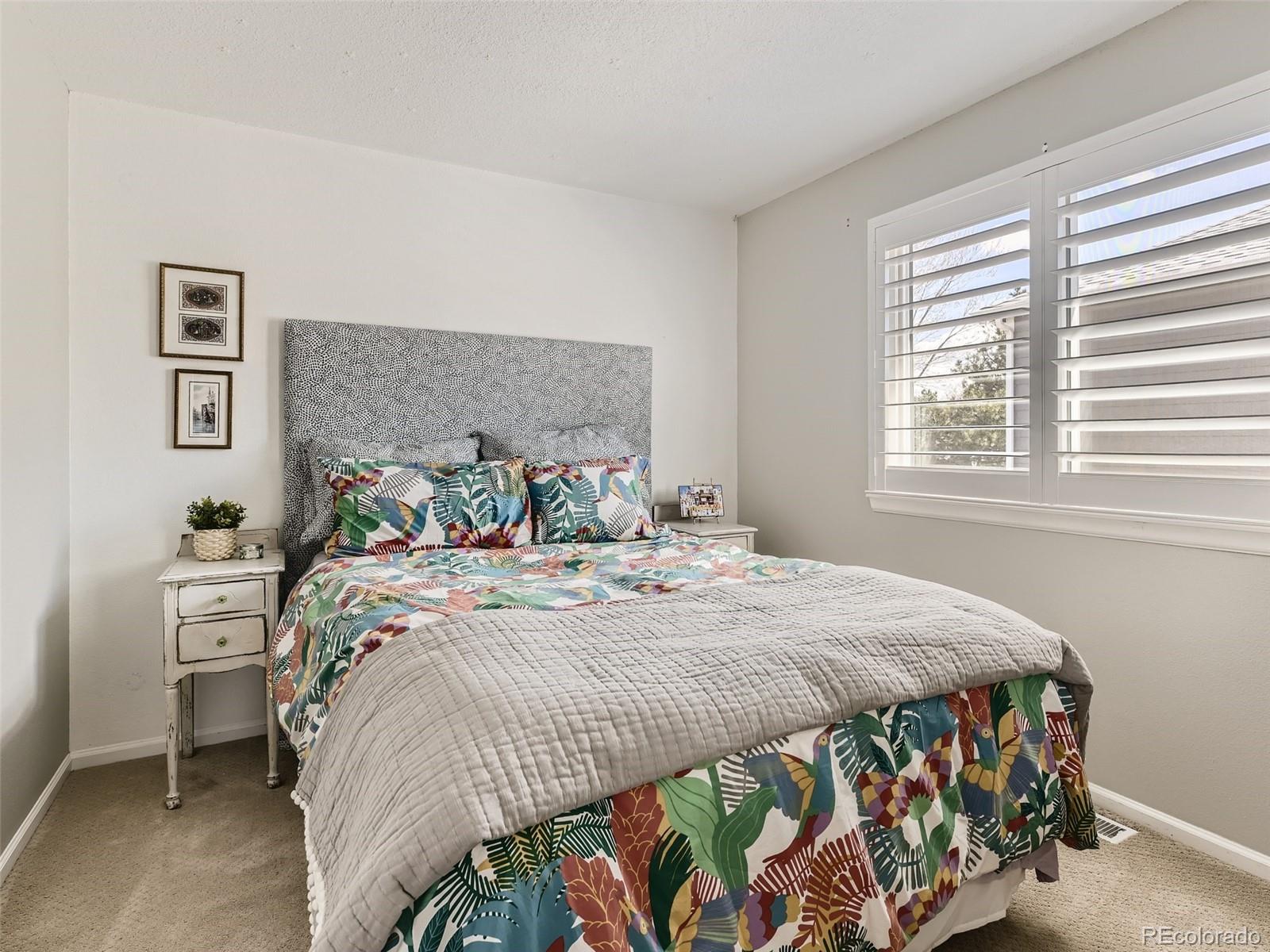 499 Bexley Lane Highlands Ranch, CO 80126 - Photo 18 of 32