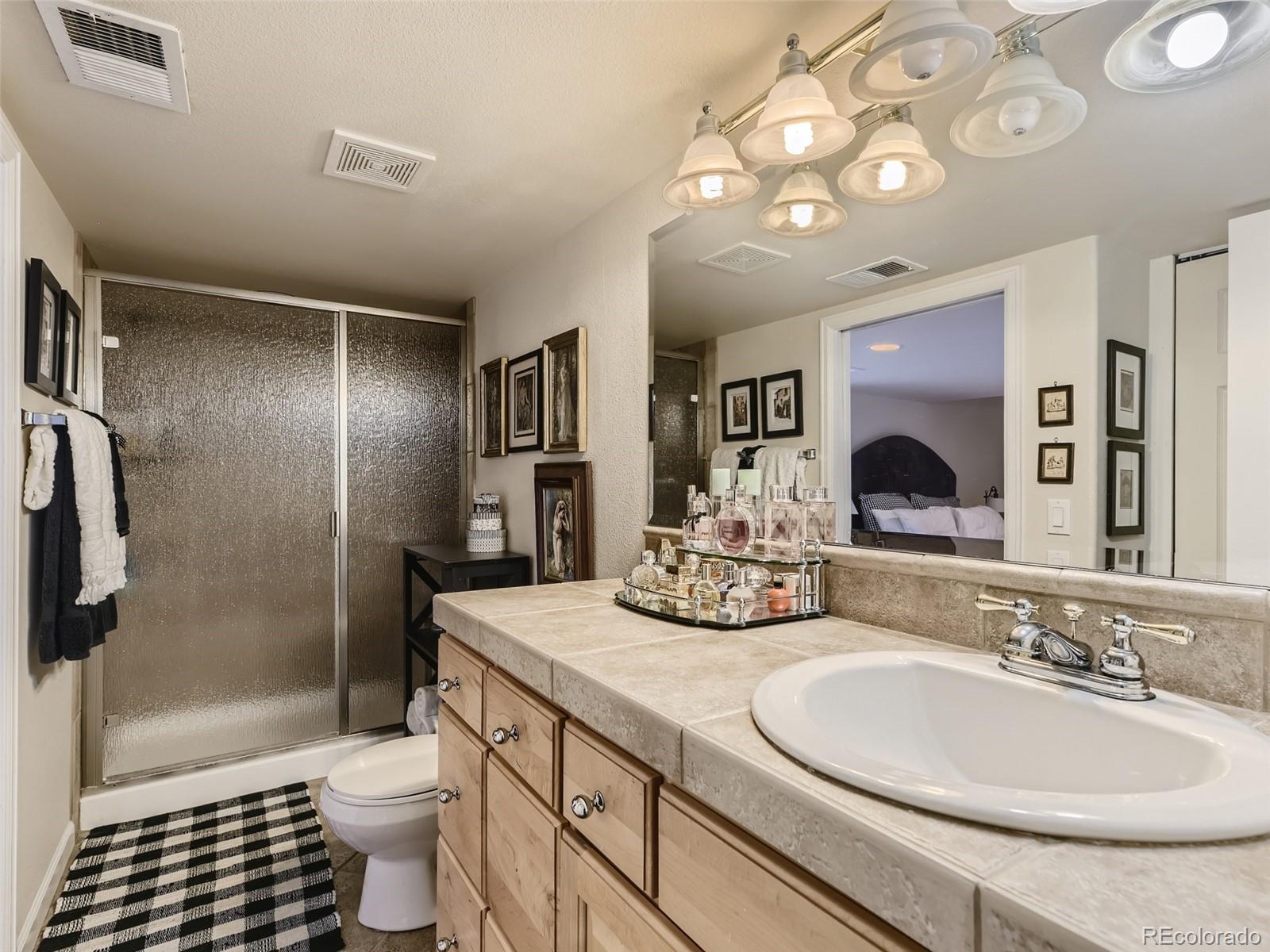 499 Bexley Lane Highlands Ranch, CO 80126 - Photo 22 of 32