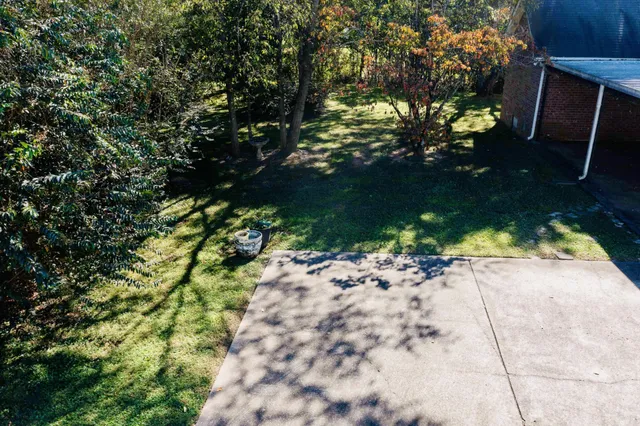 a view of a garden with plants